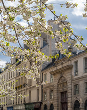 Load image into Gallery viewer, Afternoon Light on the Left Bank - Paris Print - La Porte Bonheur