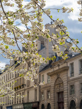 Load image into Gallery viewer, Afternoon Light on the Left Bank - Paris Print - La Porte Bonheur