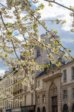 Load image into Gallery viewer, Afternoon Light on the Left Bank - Paris Print - La Porte Bonheur
