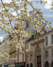 Load image into Gallery viewer, Afternoon Light on the Left Bank - Paris Print - La Porte Bonheur