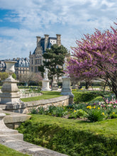 Load image into Gallery viewer, April in the Tuileries - Paris Photography - La Porte Bonheur