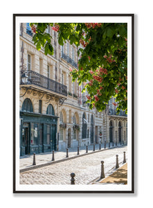 Late April in Place Dauphine - Paris Photography - La Porte Bonheur