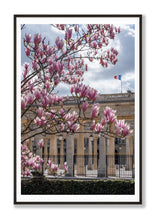Load image into Gallery viewer, Palais Royal Spring Saturday - Paris Photography - La Porte Bonheur
