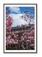 Load image into Gallery viewer, Palais Royal Pinks - Paris Photography - La Porte Bonheur