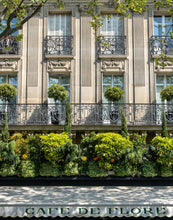 Load image into Gallery viewer, Café de Flore - Paris Photography - La Porte Bonheur