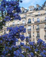 Load image into Gallery viewer, California Lilacs in Paris - Paris Photography - La Porte Bonheur