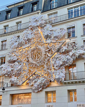 Load image into Gallery viewer, paris right bank christmas tour