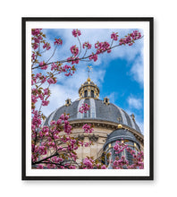Load image into Gallery viewer, Institut de France Cherry Blossoms - Paris Print - La Porte Bonheur