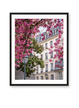 Load image into Gallery viewer, Left Bank Cherry Blossoms - Paris Print - La Porte Bonheur