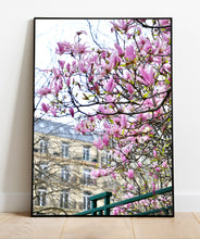 Load image into Gallery viewer, Left Bank Pink Magnolias - Paris Print - La Porte Bonheur