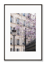 Load image into Gallery viewer, March Cherry Blossoms - Paris Print - La Porte Bonheur