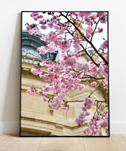 Load image into Gallery viewer, Petit Palais Cherry Blossoms - Paris Print - La Porte Bonheur