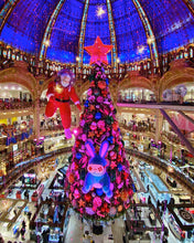 Load image into Gallery viewer, paris right bank christmas tour