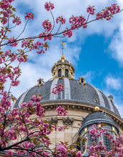 Load image into Gallery viewer, Institut de France Cherry Blossoms - Paris Print - La Porte Bonheur