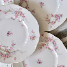 Load image into Gallery viewer, Haviland Pink Floral Starter or Dessert Plates - La Porte Bonheur
