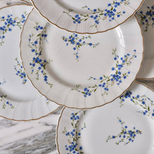 Load image into Gallery viewer, Bernardaud &quot;Myosotis&quot; Blue and White Dinner Plates - La Porte Bonheur
