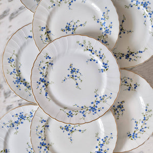 Bernardaud "Myosotis" Blue and White Dinner Plates - La Porte Bonheur
