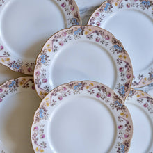Load image into Gallery viewer, Ch. Pillivuyt et Cie Floral Dinner Service - La Porte Bonheur