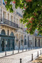 Load image into Gallery viewer, Late April in Place Dauphine - Paris Photography - La Porte Bonheur