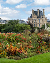 Load image into Gallery viewer, Late Summer Flowers in the Tuileries - Paris Photography - La Porte Bonheur