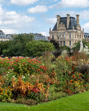Load image into Gallery viewer, Late Summer Flowers in the Tuileries - Paris Photography - La Porte Bonheur