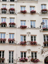 Load image into Gallery viewer, Geraniums on the Left Bank - Paris Print - La Porte Bonheur