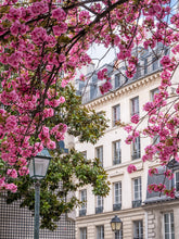 Load image into Gallery viewer, Left Bank Cherry Blossoms - Paris Print - La Porte Bonheur