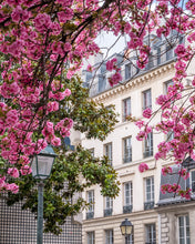 Load image into Gallery viewer, Left Bank Cherry Blossoms - Paris Print - La Porte Bonheur