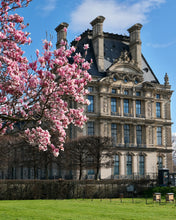 Load image into Gallery viewer, Louvre Magnolias - Paris Print - La Porte Bonheur