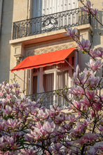 Load image into Gallery viewer, Magnolia Window View - Paris Print - La Porte Bonheur
