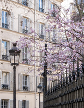 Load image into Gallery viewer, March Cherry Blossoms - Paris Print - La Porte Bonheur