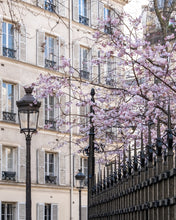 Load image into Gallery viewer, March Cherry Blossoms - Paris Print - La Porte Bonheur