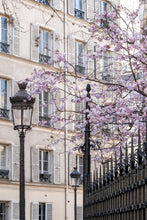 Load image into Gallery viewer, March Cherry Blossoms - Paris Print - La Porte Bonheur