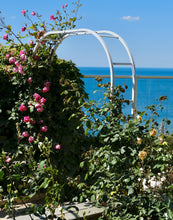 Load image into Gallery viewer, Musée Christian Dior Roses - Normandy Print - La Porte Bonheur