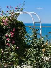 Load image into Gallery viewer, Musée Christian Dior Roses - Normandy Print - La Porte Bonheur