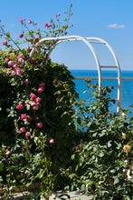 Load image into Gallery viewer, Musée Christian Dior Roses - Normandy Print - La Porte Bonheur