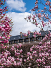 Load image into Gallery viewer, Palais Royal Pinks - Paris Photography - La Porte Bonheur