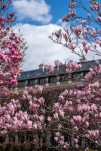 Load image into Gallery viewer, Palais Royal Pinks - Paris Photography - La Porte Bonheur