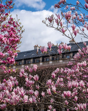 Load image into Gallery viewer, Palais Royal Pinks - Paris Photography - La Porte Bonheur