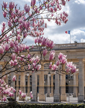 Load image into Gallery viewer, Palais Royal Spring Saturday - Paris Photography - La Porte Bonheur