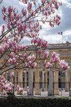 Load image into Gallery viewer, Palais Royal Spring Saturday - Paris Photography - La Porte Bonheur