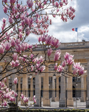 Load image into Gallery viewer, Palais Royal Spring Saturday - Paris Photography - La Porte Bonheur