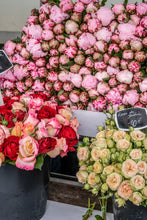 Load image into Gallery viewer, Peonies and Garden Roses at the Marché - Paris Photography - La Porte Bonheur