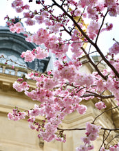 Load image into Gallery viewer, Petit Palais Cherry Blossoms - Paris Print - La Porte Bonheur