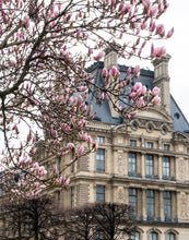 Load image into Gallery viewer, Pink Magnolias and the Louvre - Paris Print - La Porte Bonheur