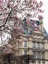 Load image into Gallery viewer, Pink Magnolias and the Louvre - Paris Print - La Porte Bonheur