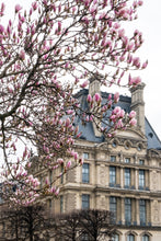 Load image into Gallery viewer, Pink Magnolias and the Louvre - Paris Print - La Porte Bonheur