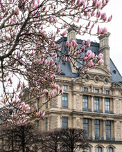 Load image into Gallery viewer, Pink Magnolias and the Louvre - Paris Print - La Porte Bonheur