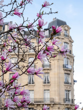 Load image into Gallery viewer, Pink Magnolias on the Avenue - Paris Print - La Porte Bonheur