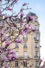Load image into Gallery viewer, Pink Magnolias on the Avenue - Paris Print - La Porte Bonheur